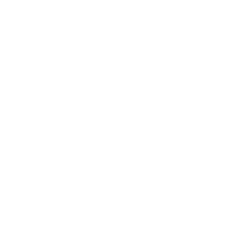Search Icon